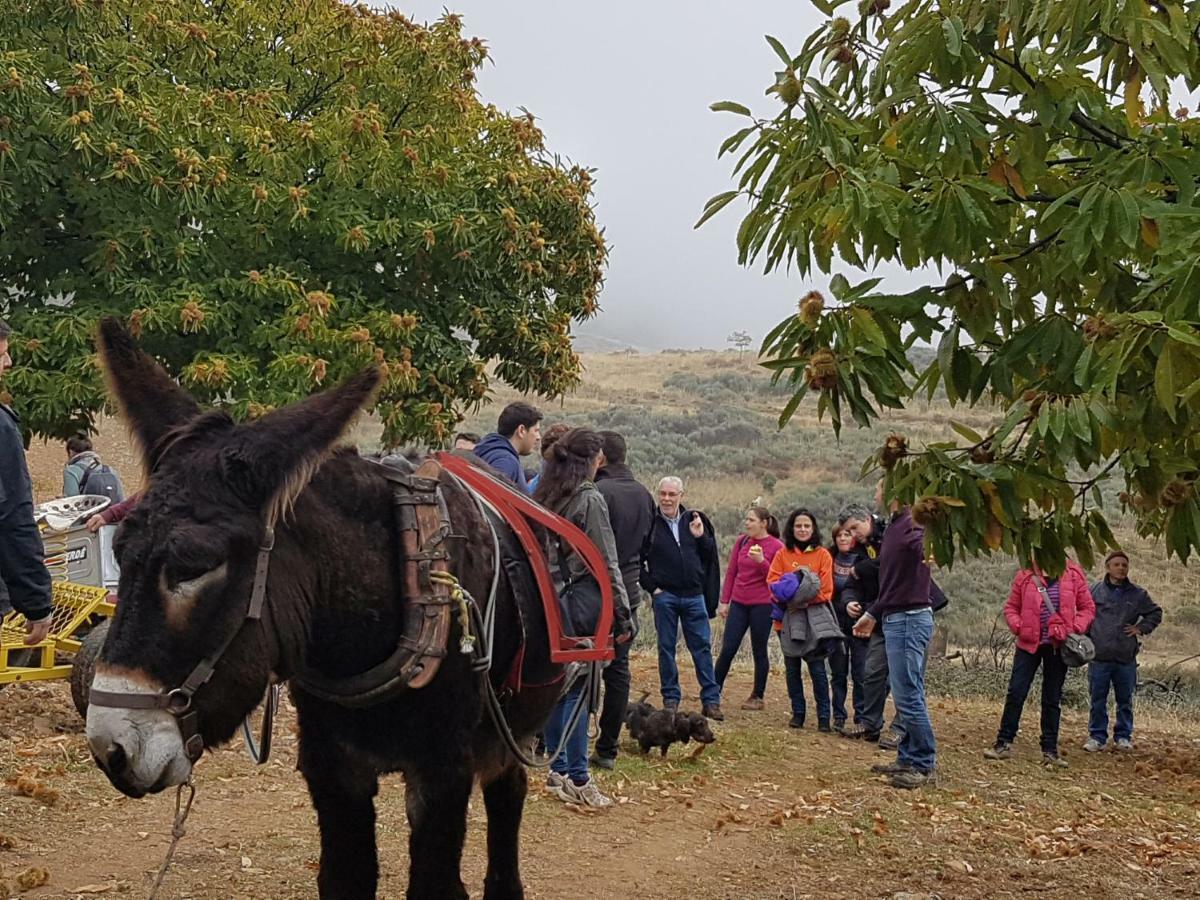 Apimonte Casa Do Pascoal - Pn Montesinho Villa Bragança Kültér fotó