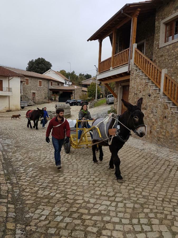 Apimonte Casa Do Pascoal - Pn Montesinho Villa Bragança Kültér fotó